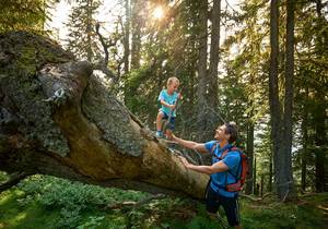 Goldener Herbst - Bliems Familienhotel