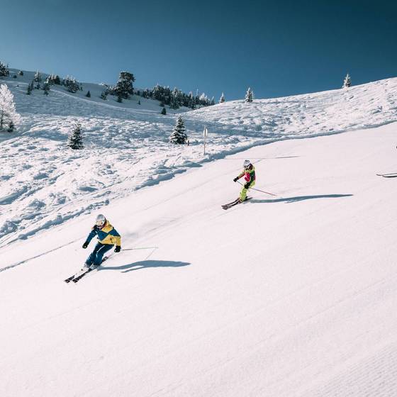 Skifahren im Skigebiet Riesneralm (Foto: Stegerhof / Armin Walcher)